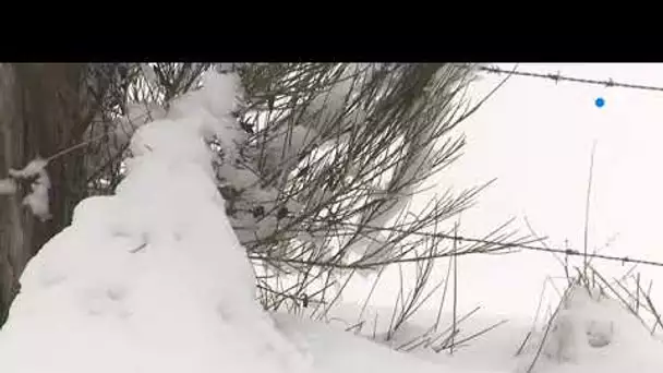 Aveyron : épisode neigeux ce matin sur le Lévézou et près de l’A75