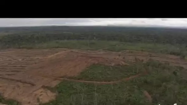 Indonésie : déforestation - terrassement