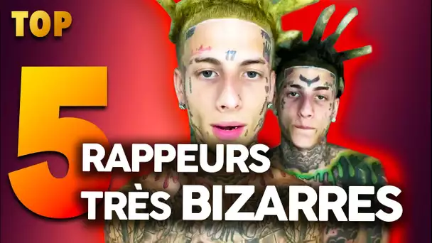 5 Rappeurs Vraiment Bizarres Qui Ont Percé !