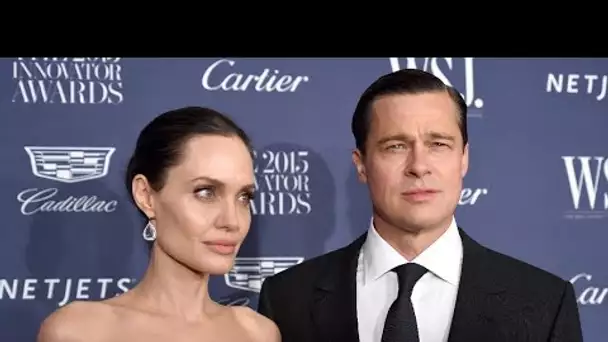 Brad Pitt accuse Angelina Jolie d'avoir revendu les parts qu'elle détient de leur domaine viticole