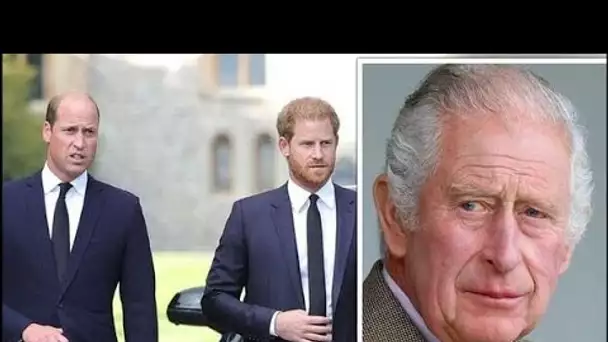 La rupture entre le prince William et le prince Harry pourrait survivre au roi Charles