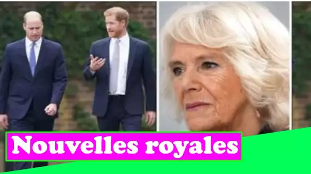 La relation de Camilla avec le prince William et Harry : "Très difficile pour les beaux-parents