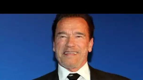 Arnold Schwarzenegger lance un t-shirt avec son âne et son poney pour récolter des fonds