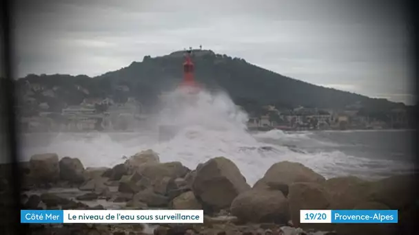 Toulon : l'Université veille sur le niveau de la mer