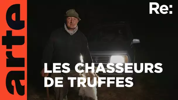 La très convoitée truffe du Piémont | ARTE Regards