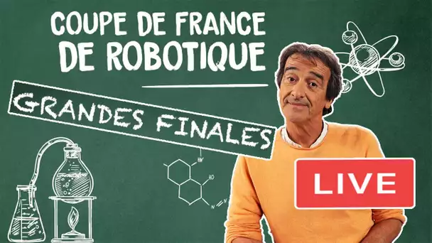 Finales de la Coupe de France de Robotique 2019
