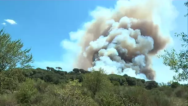 Appel aux dons pour le reboisement de Générac, village victime de violents incendies cet été