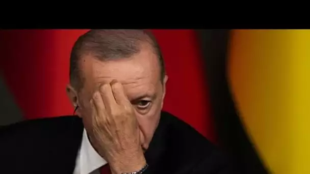 La Suède bientôt dans l'OTAN ? Recep Tayyip Erdogan a signé, le parlement turc doit encore ra…