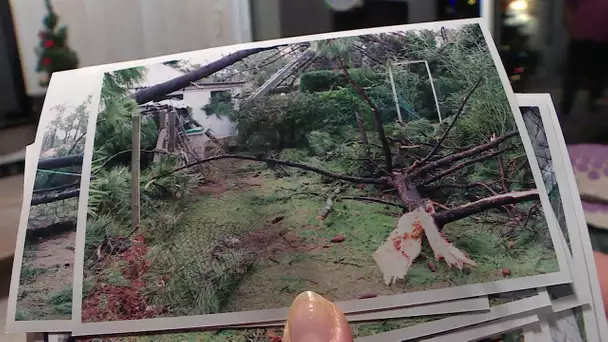 Tempête 1999 en Charente-Maritime sur l'île d'Oléron