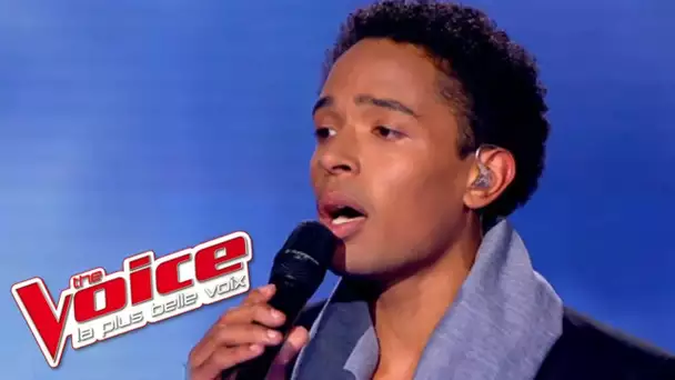 Judy Garland - Over the Rainbow | Stephan Rizon | The Voice France 2012 | Prime 2