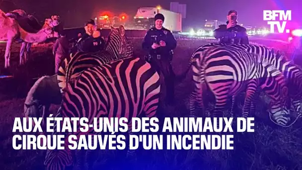 États-Unis: la police sauve des animaux de cirque d’un incendie dans l'Indiana