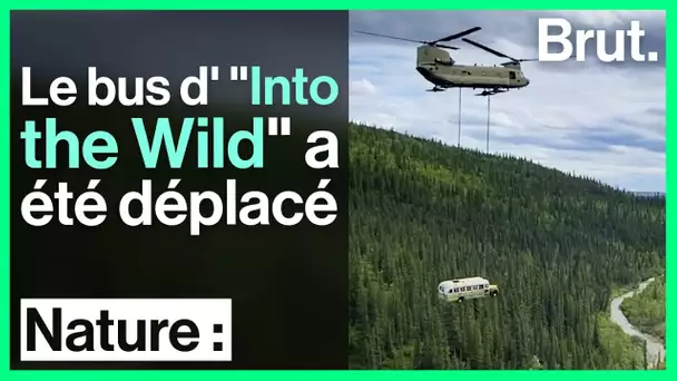 Jugé dangereux, le bus d' "Into the Wild" a été déplacé