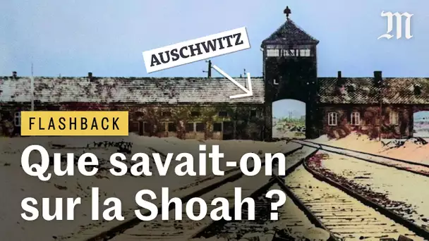 Auschwitz : que savaient les Alliés de la Shoah ? - Flashback #8