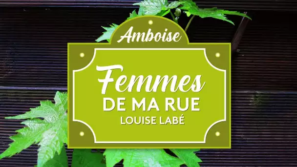 Femmes de ma rue : qui est Louise Labé, la poétesse de la Renaissance ?