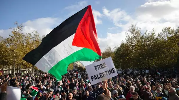 Prisca Thévenot : «Les drapeaux palestiniens n’ont rien à faire dans ces manifestations, comme
