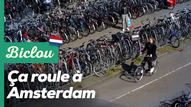 Top 3 des meilleurs aménagements cyclables d’Amsterdam