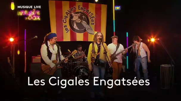 Les Cigales Engatsées - Li coulour de prouvènço (live à music.box)