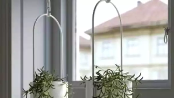 Ikea : ces nouvelles plantes artificielles donnent vie à votre intérieur !