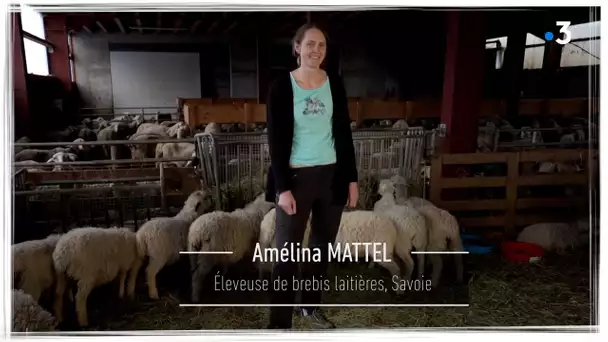 Je tiens à ma terre : Amélina Mattel, éleveuse en brebis laitières en Savoie