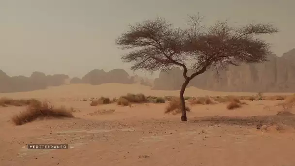 MEDITERRANEO – Timide réouverture de l’Algérie au tourisme