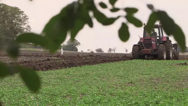 Documentaire : les multinationales chinoises acquièrent des terres agricoles dans le Berry