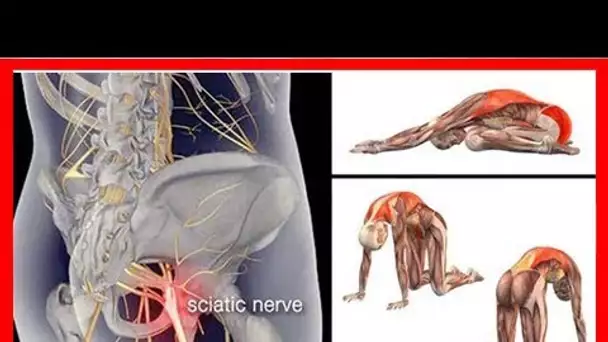 4 étirements du muscle piriforme pour se débarrasser de la sciatique, des douleurs de la hanche et