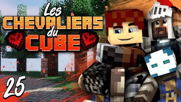 Chevaliers du Cube #25 - Implosion du serveur