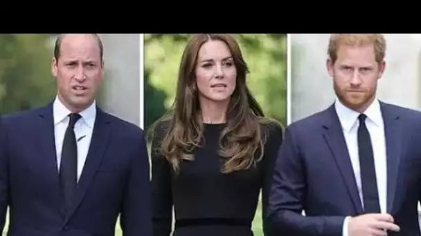 Kate "toujours très optimiste" William & Harry vont se réconcilier "Veut voir le meilleur chez les g