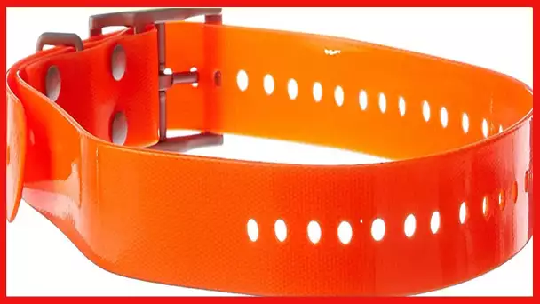 Garmin 1-Inch Dog Collar, Orange
