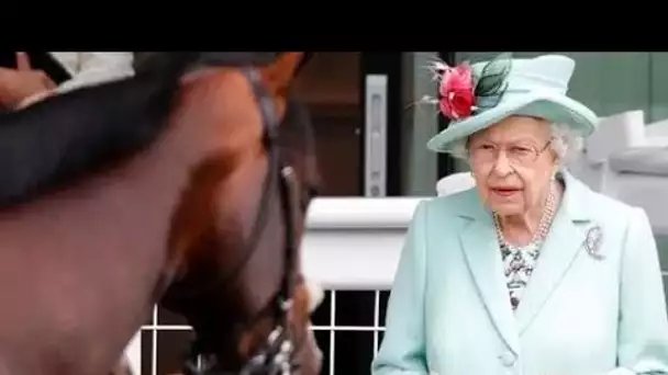 Le roi Charles vendra aux enchères aujourd'hui 14 chevaux de course hérités de feu la reine