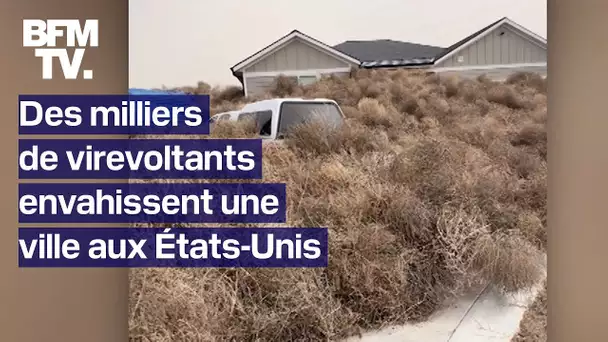 Des milliers de virevoltants envahissent des villes de l’Utah aux États-Unis