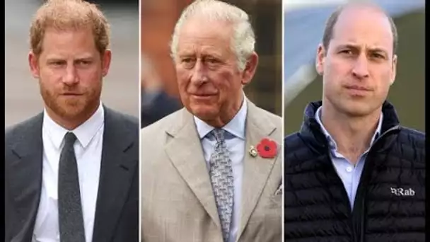 L'appel déchirant du roi Charles au prince Harry et au prince William après des discussions tendues
