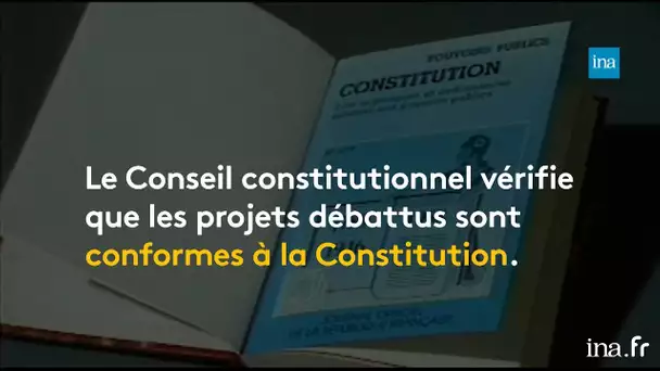 C'est quoi le Conseil constitutionnel ? | Franceinfo INA