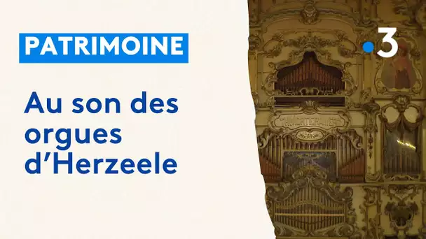 Patrimoine : le retour des orgues d'Herzeele