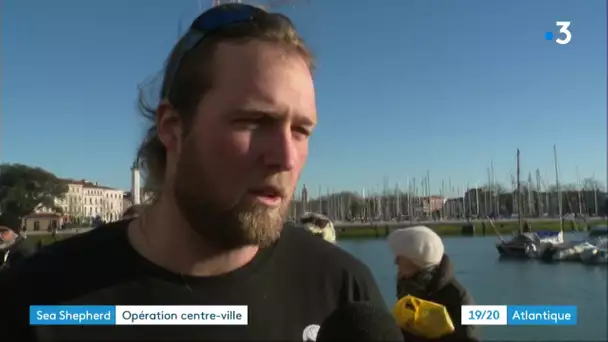 La Rochelle. Sea Shepherd expose un dauphin mort sur le vieux port