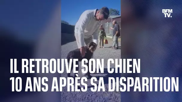 Un chien retrouve ses maîtres en Lozère, 10 ans après avoir disparu dans le Vaucluse