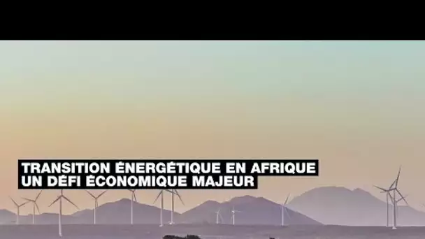 Transition énergétique en Afrique : la décarbonation, un défi économique majeur • FRANCE 24