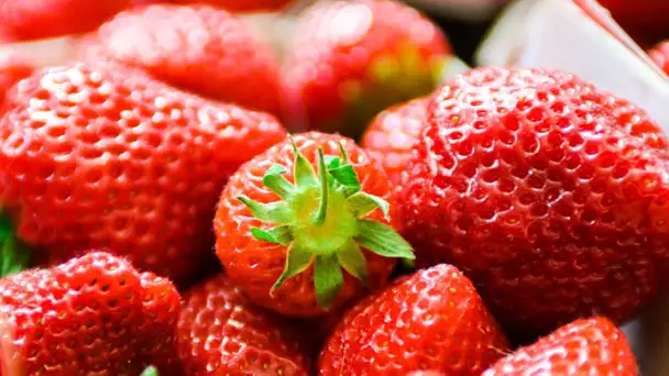 Le prix de la barquette de fraises va-t-il augmenter cette année ?