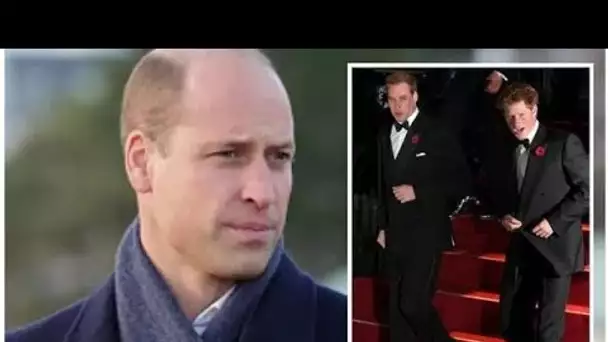 Les amis du prince William admettent leur "tristesse" face à la relation "tendue" des frères