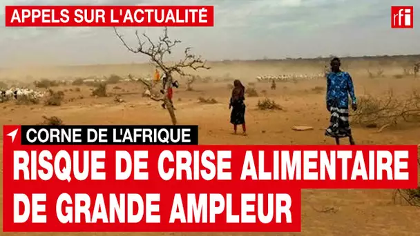 Corne de l’Afrique : la crainte d'une crise alimentaire de grande ampleur • RFI