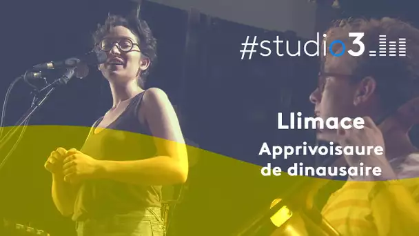 #studio3 La chanteuse Llimace interprète "Apprivoisaure de dinausaire"