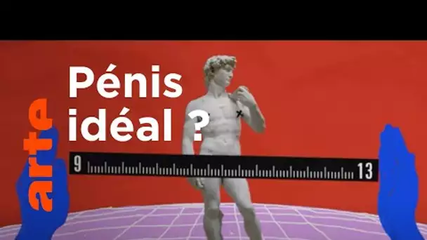 Le pénis, une question de taille ! | Gymnastique, la culture en s'amusant | ARTE