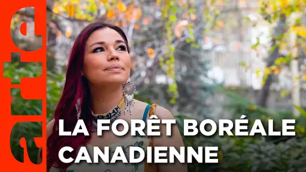 Canada - La voie des ancêtres | Gardiens de la forêt | ARTE