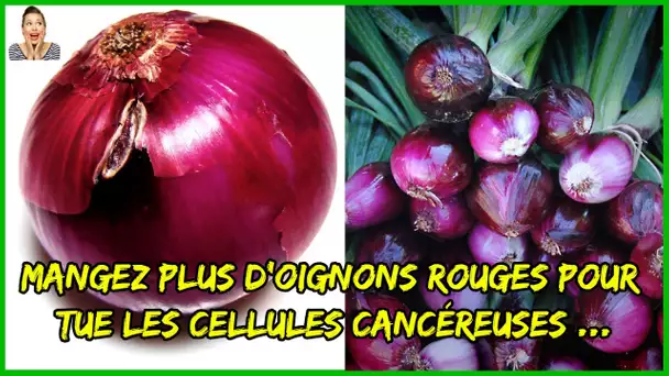 Mangez plus d'oignons rouges il tue les cellules cancéreuses, arrête les saignements de nez et protè