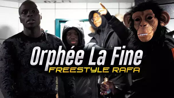 Orphée La Fine - Freestyle Rafa I Daymolition