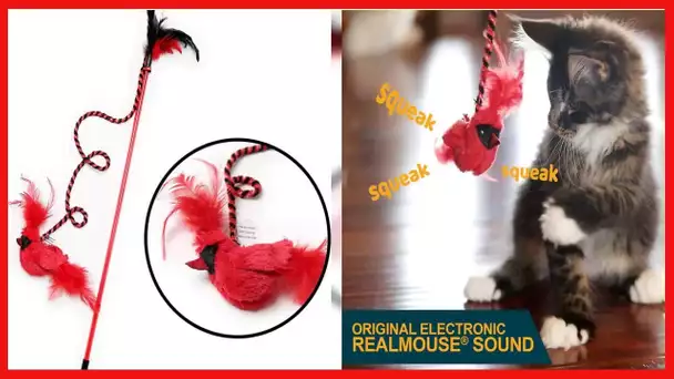 Our Pets Play-N-Squeak RealBirds Fly Over Wand Interactive Cat Toy, 1-Pack (1010012455)