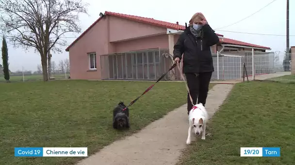 Covid-19 : les pensions pour animaux du Tarn en difficulté faute de clients