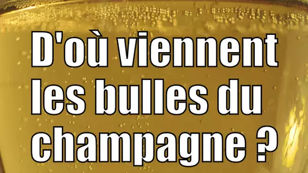 D'où viennent les bulles du champagne ? — Science étonnante #22