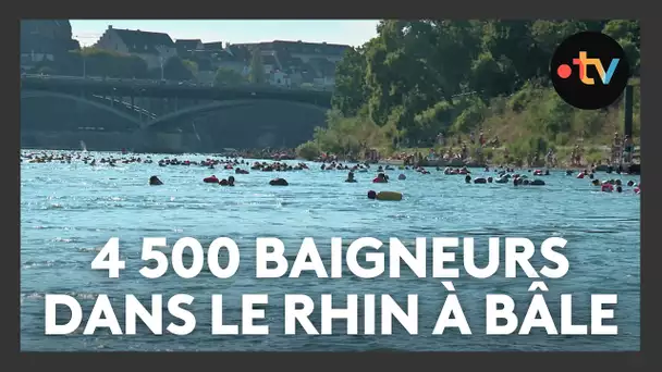 Insolite : des milliers de Suisses se sont baignés dans le fleuve qui traverse Bâle