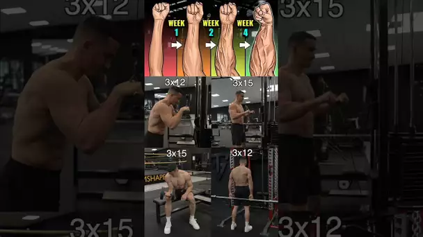 Bigger forearms best exercises !! 🔥